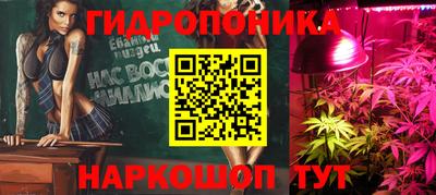 хмурый Можга