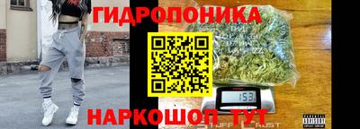 хмурый Можга