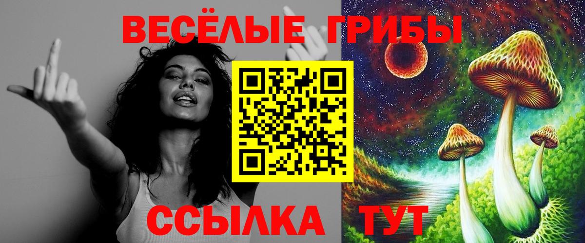 Псилоцибиновые грибы Psilocybe  Вход с VPN  Рязань 