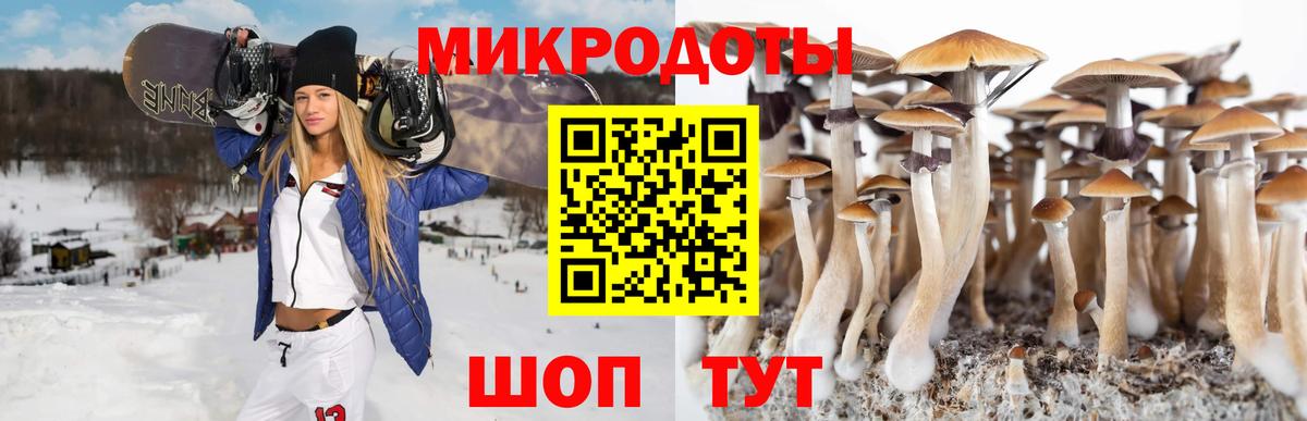 Галлюциногенные грибы Cubensis Рязань